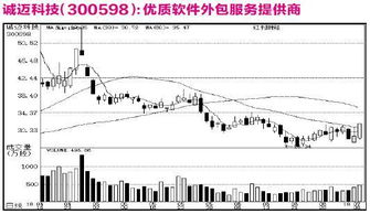 公司研究之机构关注个股