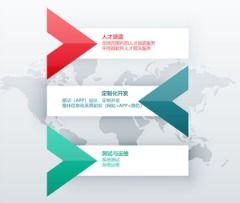 专业的it人才费用,软件技术服务外包团队