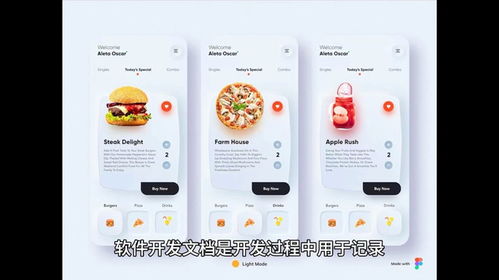 软件外包开发的开发文档