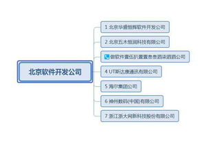 软件开发外包公司有哪些