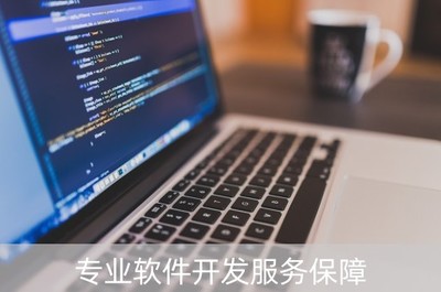 专业软件开发服务保障(专业软件开发服务保障包括哪些)