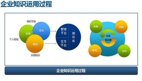 怎样更好的运用知识管理系统