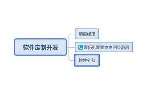 软件开发公司外包在国内有哪些排名好的