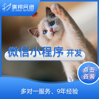 服务外包供应商-IT软件,品牌设计,网站外包服务商平台