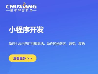 南安软件开发外包
