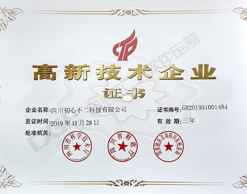 成都专业的软件开发公司,开发软件自建团队还是找外包公司好