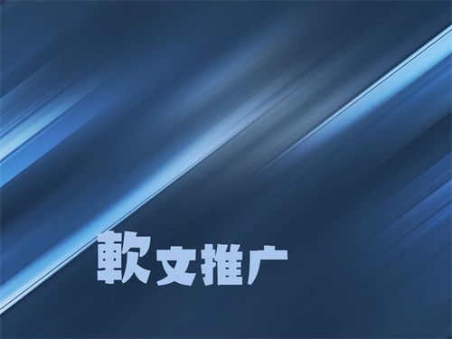 广州软文发布外包 广州软件开发外包公司