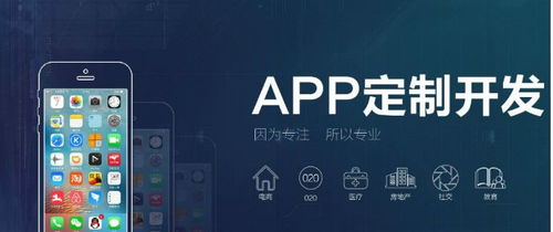 目前哪家软件外包公司比较好