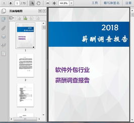 2018软件外包行业薪酬调查报告69页